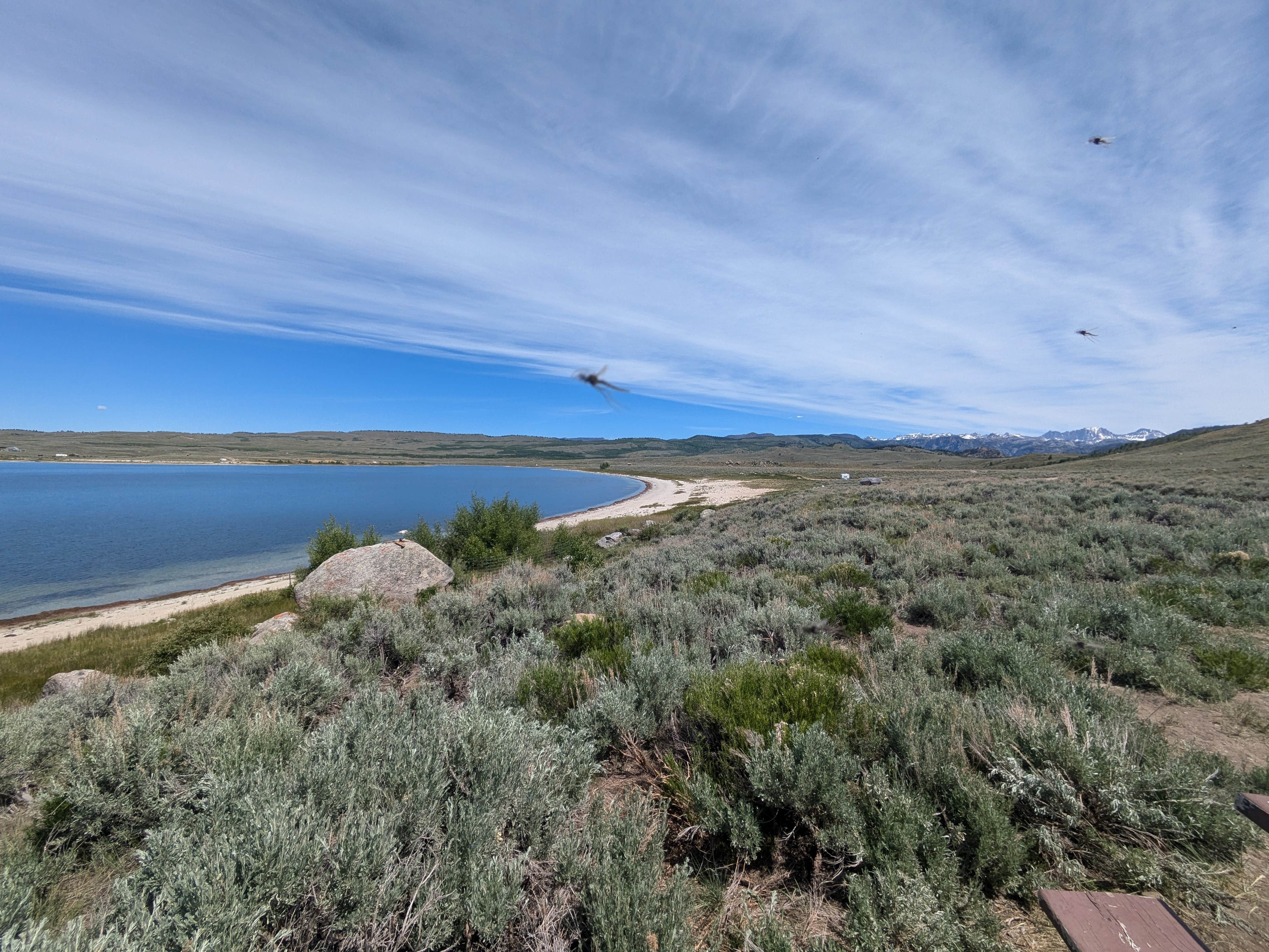 Camper submitted image from Soda Lake Wildlife Area - 4