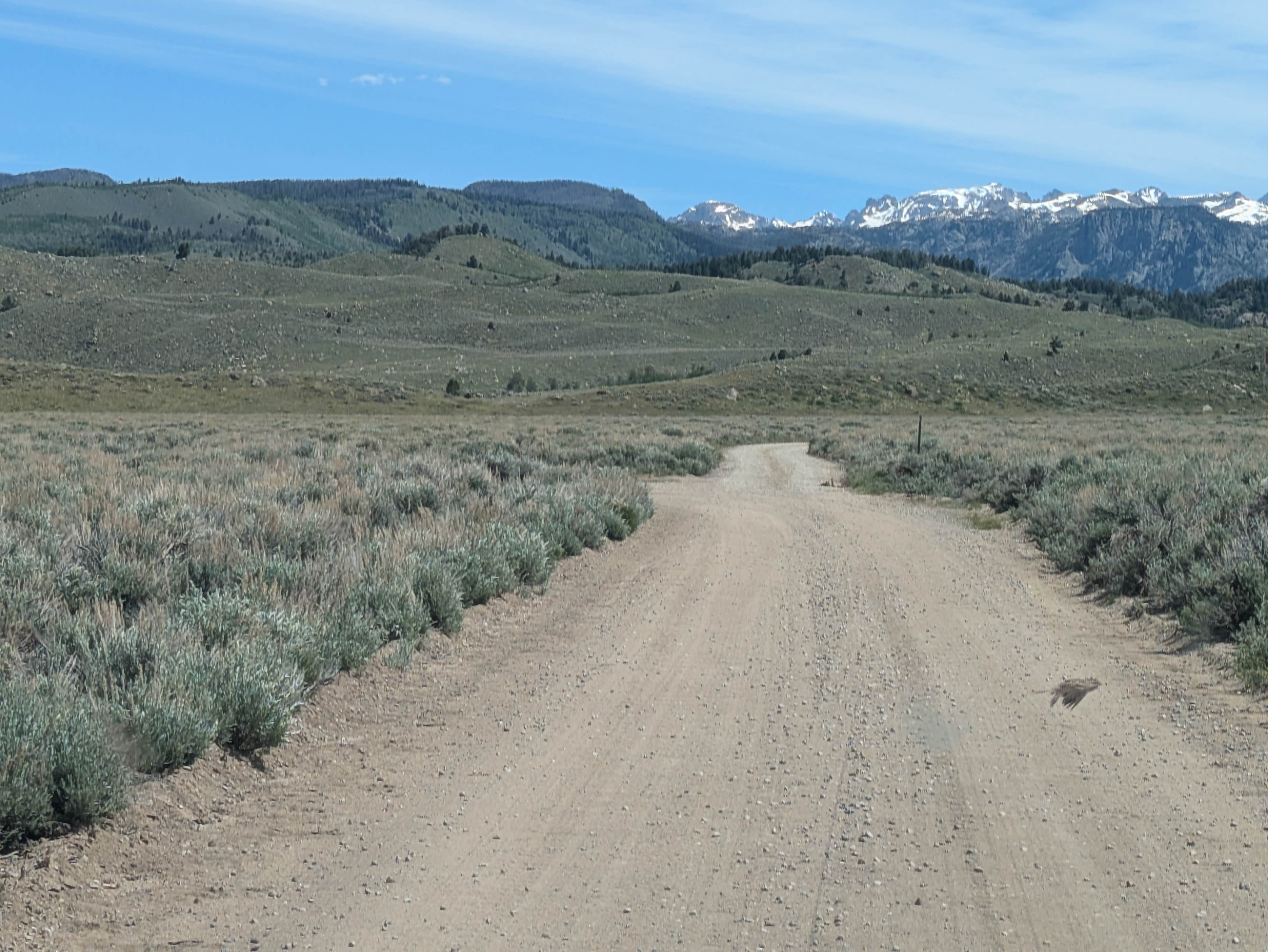 Camper submitted image from Soda Lake Wildlife Area - 3