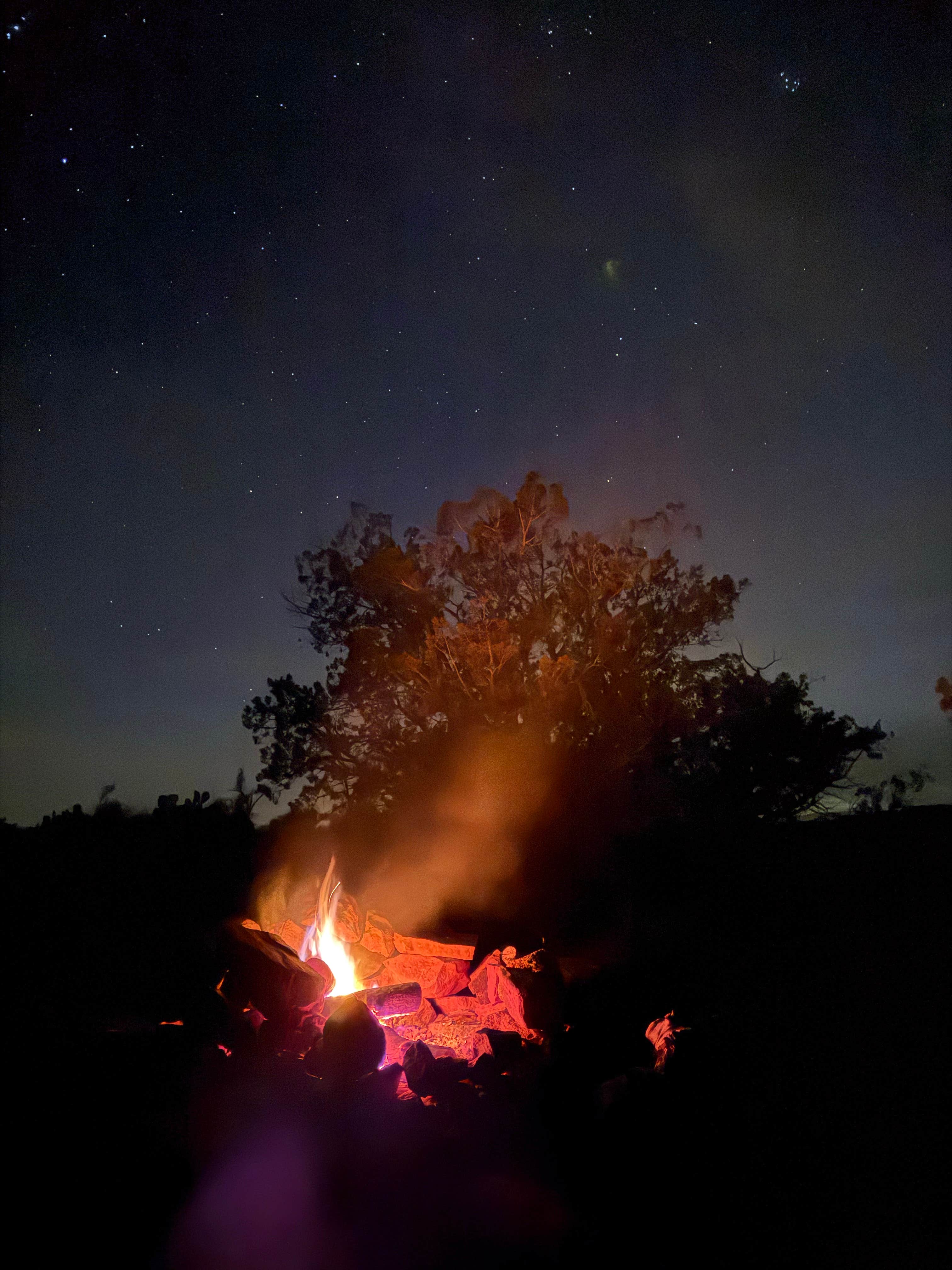 Camping near Forest Road 618 Loop: Soda Springs Road, Rimrock, Arizona