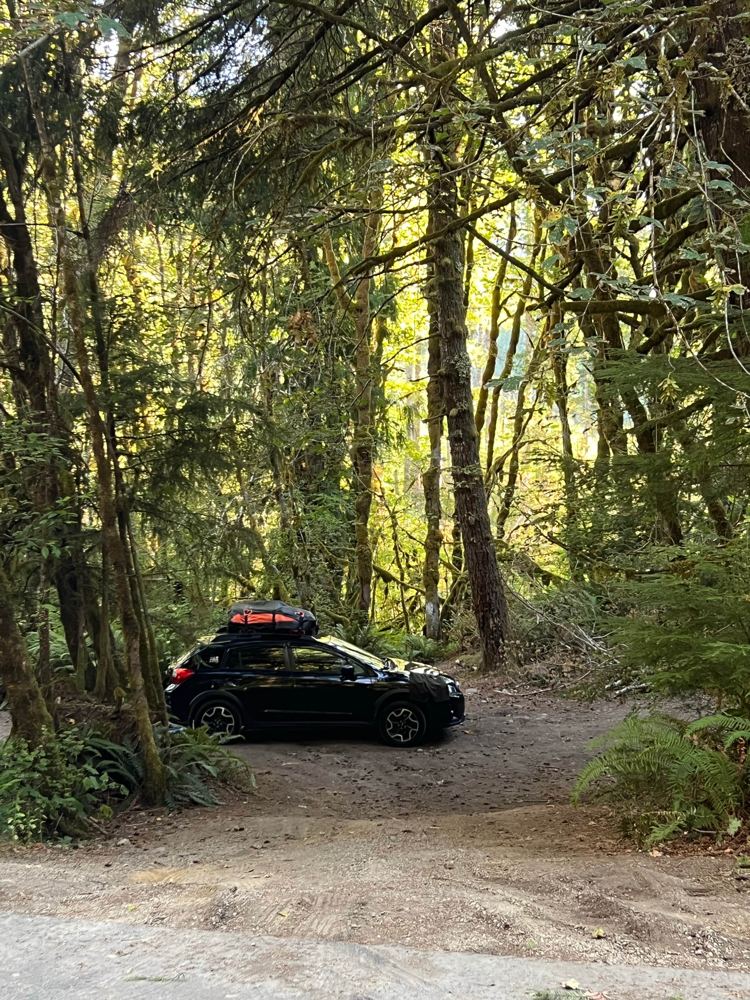 Camper-submitted photo at sol duc river near Sol Duc Hot Springs, WA