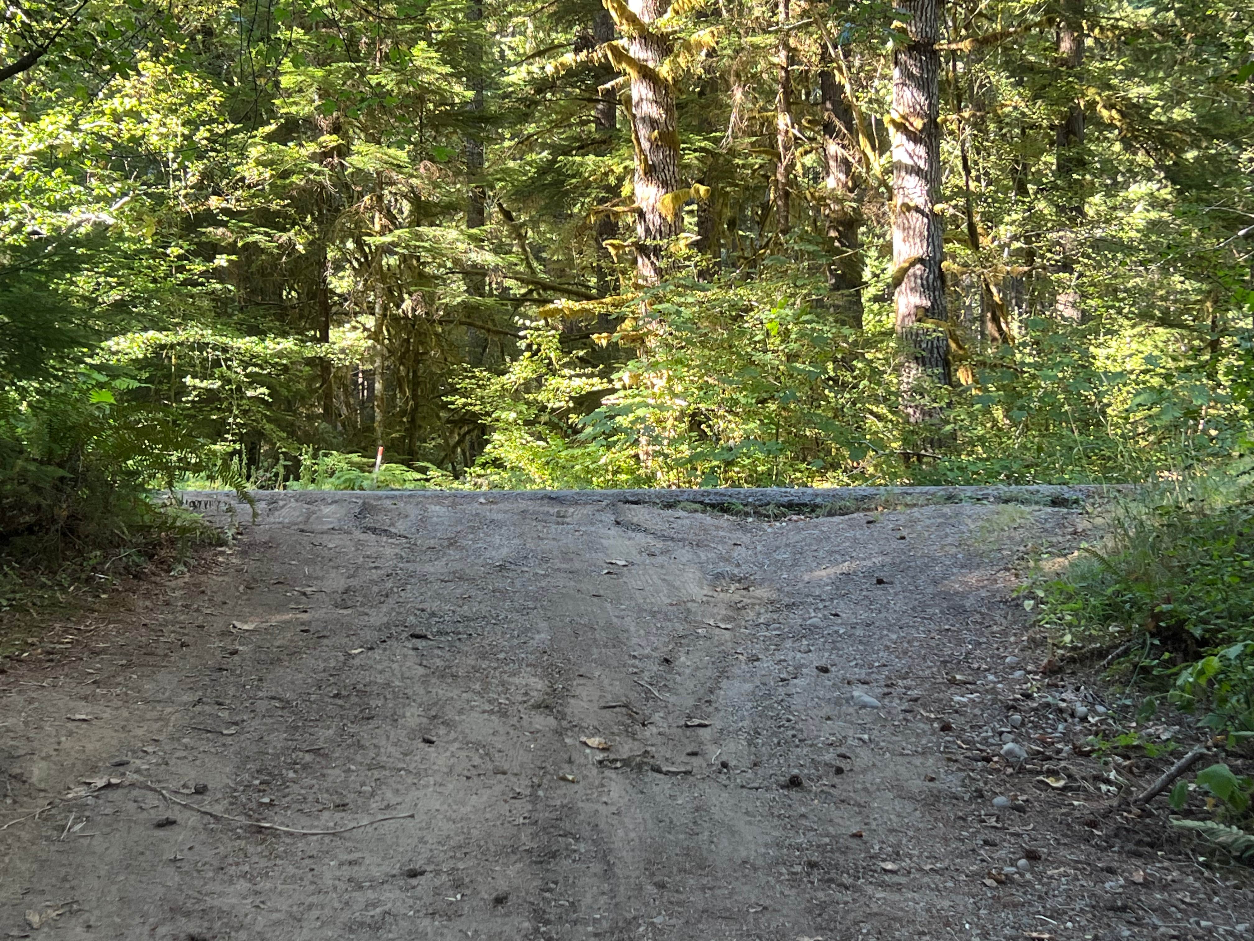 Camper submitted image from sol duc river - 3