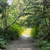 Review photo of sol duc river by Amy O., August 22, 2025
