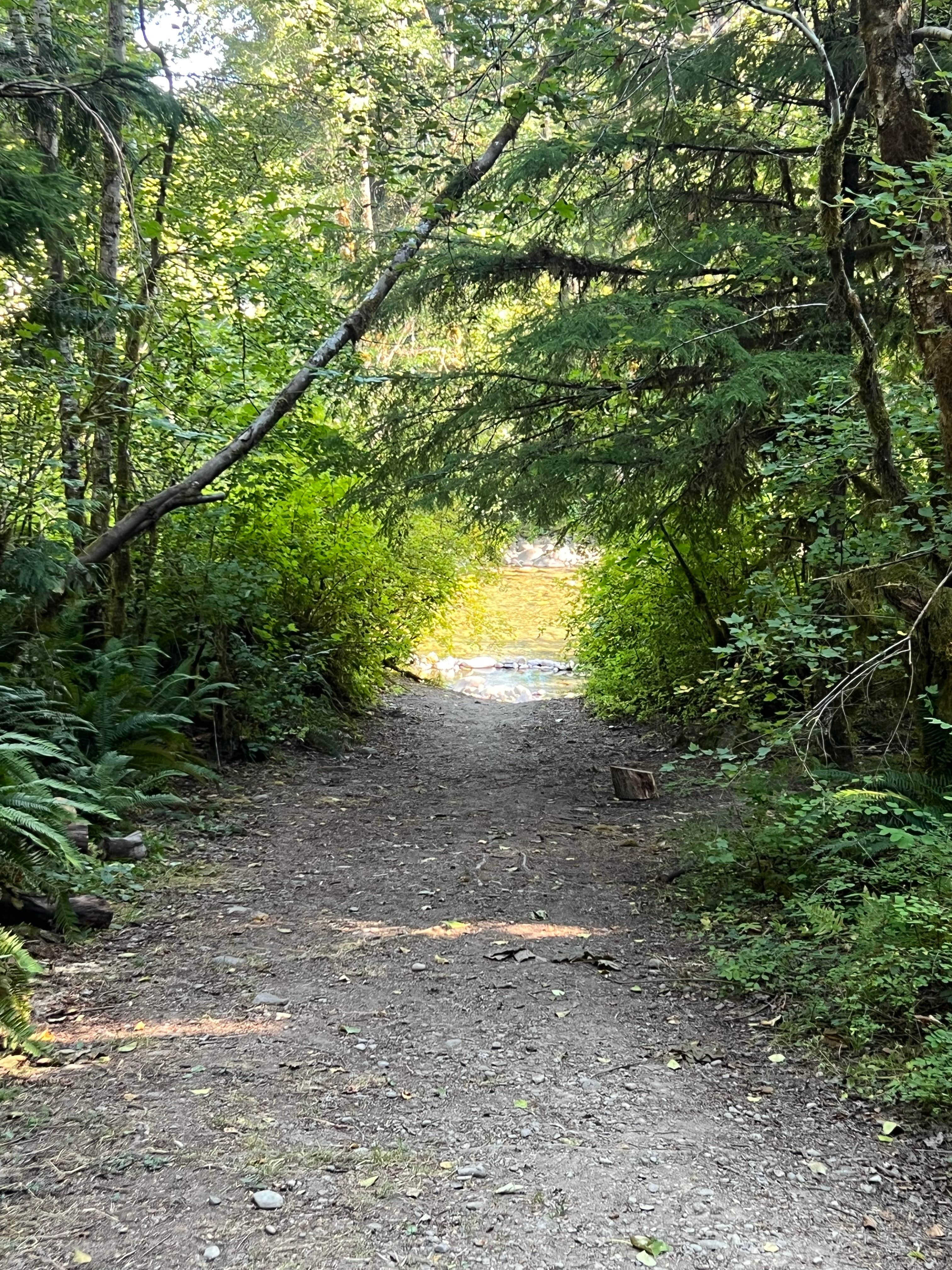 Camper submitted image from sol duc river - 1