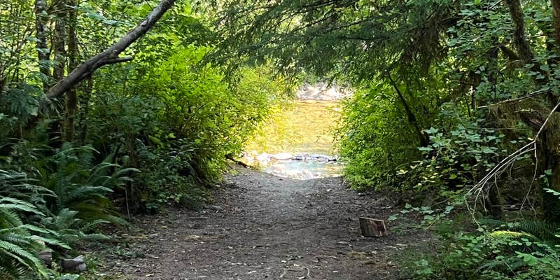 Camper submitted image from sol duc river
