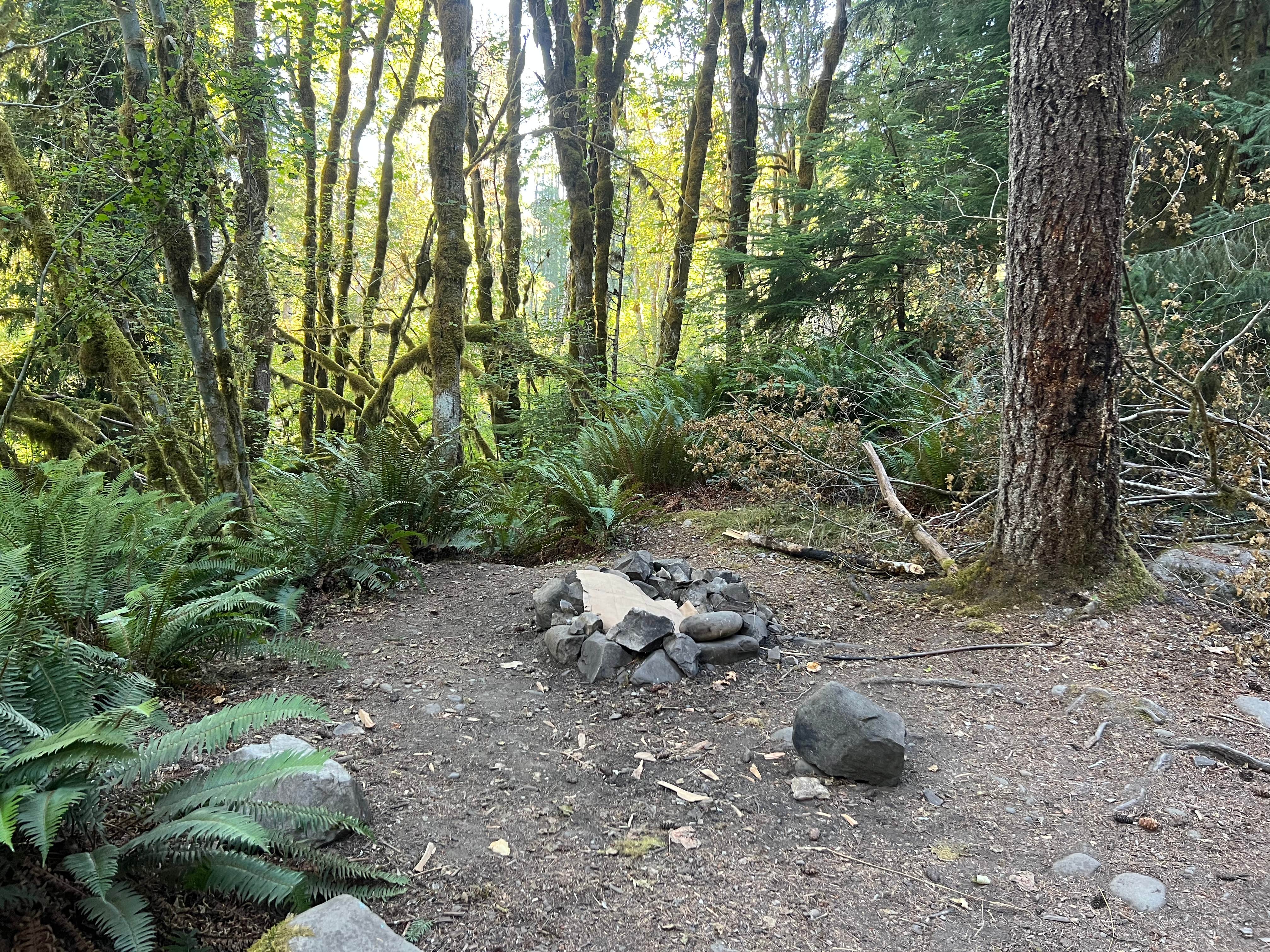 Camper-submitted photo at sol duc river near Sol Duc Hot Springs, WA