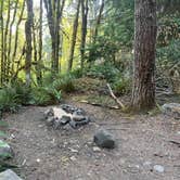 Review photo of sol duc river by Amy O., August 22, 2025
