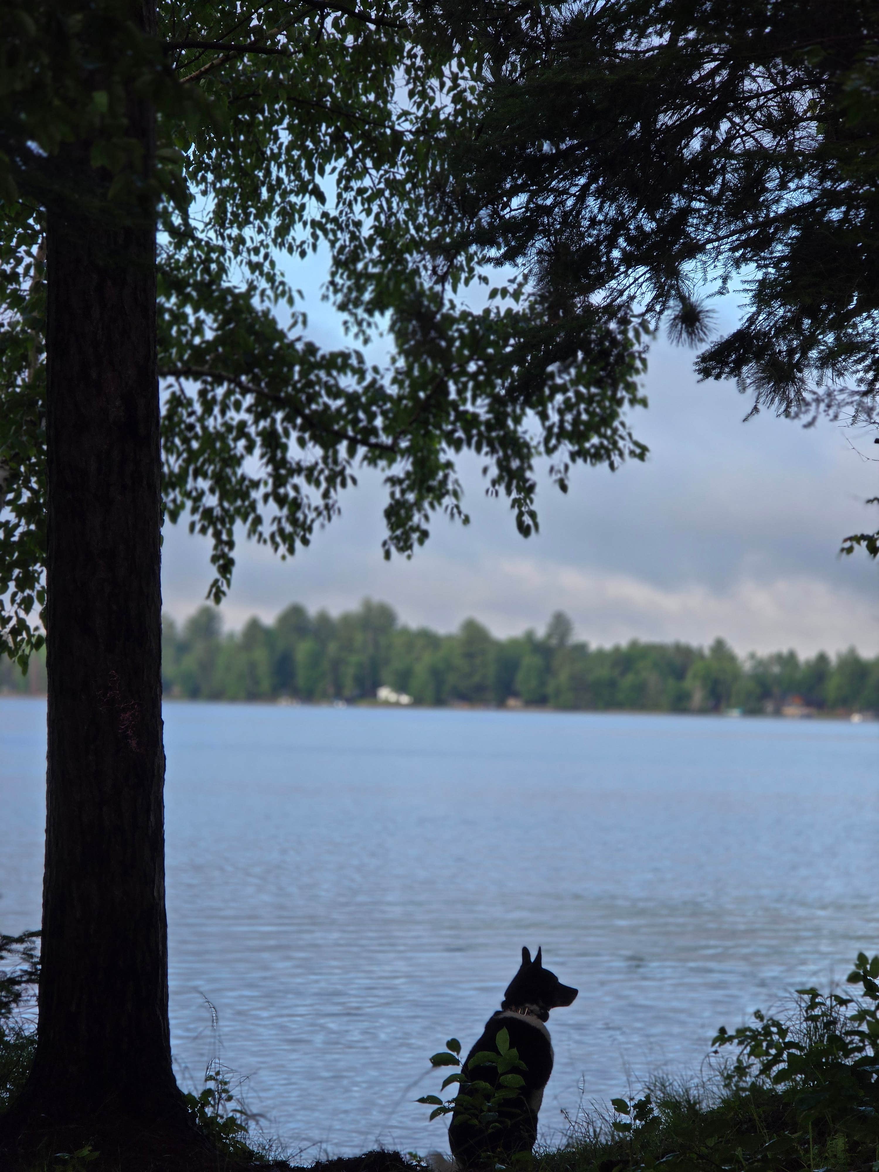 Camper-submitted photo at Solberg Lake County Park near Chequamegon-Nicolet NF