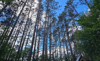 HollowayFamilyOutdoors's photo at Solberg Lake County Park near Phillips, WI