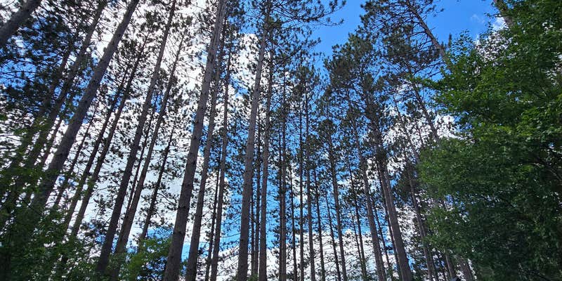 Camper submitted image from Solberg Lake County Park