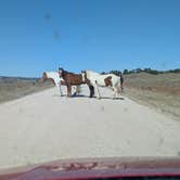 Review photo of Soldier Creek (Ne) Nebraska Nf — Nebraska National Forests And Grasslands by Sean J., March 21, 2026