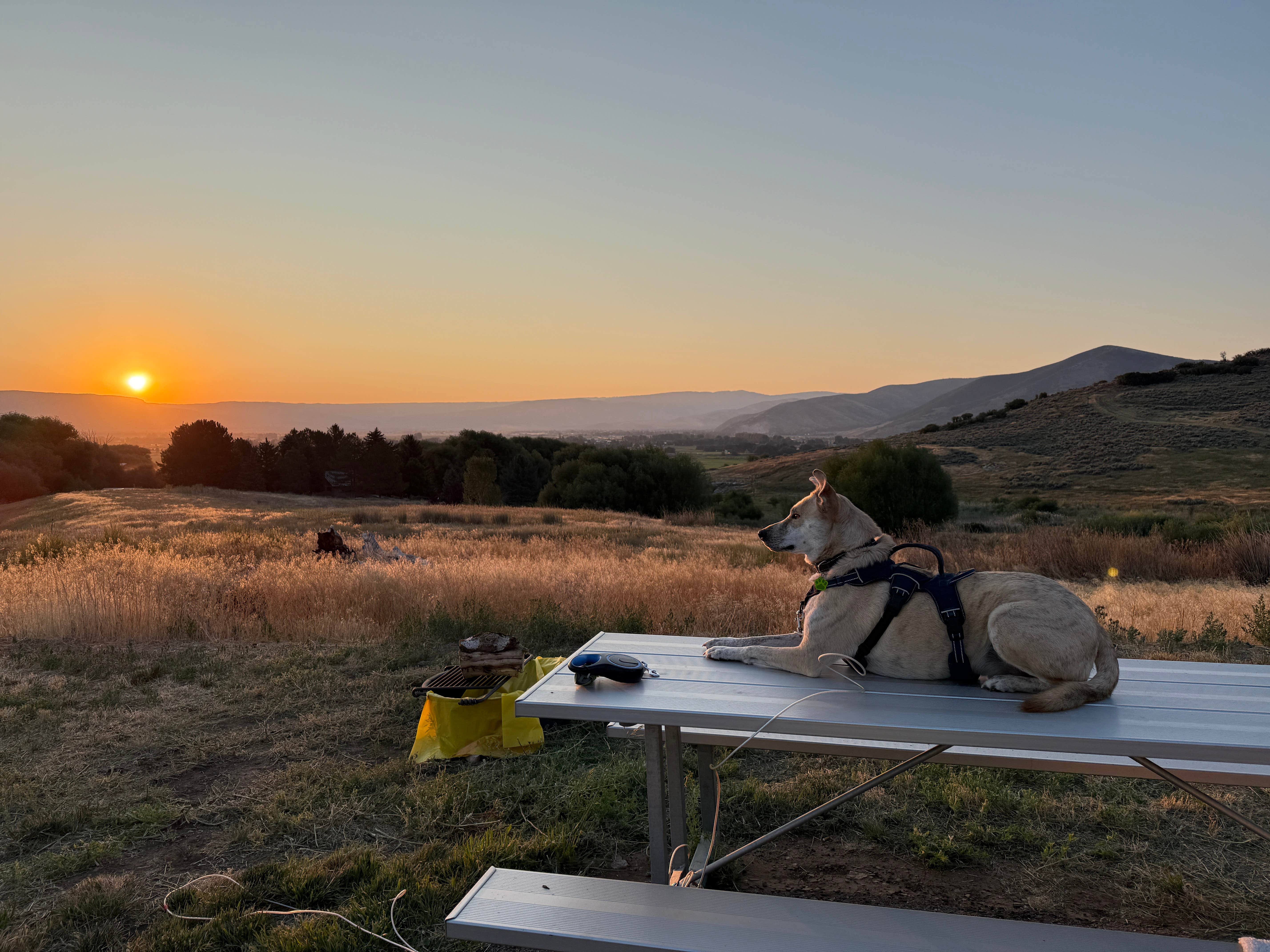 Camper-submitted photo at Soldier Hollow Campground — Wasatch Mountain State Park near Alpine, UT