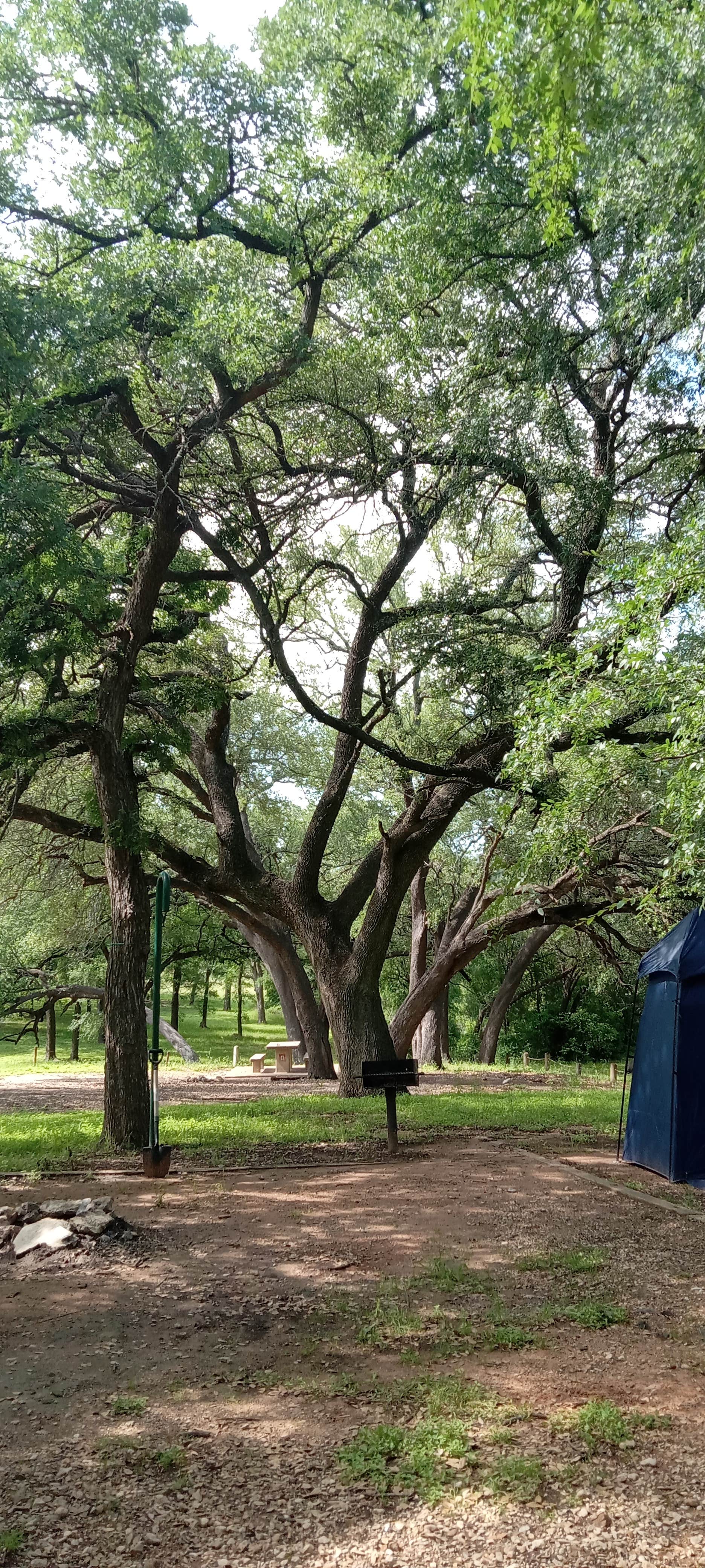 Sean B.'s photo of a dispersed camping area at Soldier’s Bluff near Granbury, TX