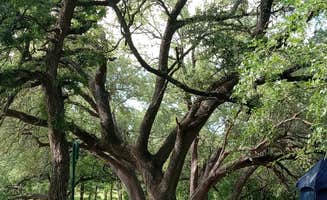 Sean B.'s photo of a dispersed camping area at Soldier’s Bluff near Crowley, TX