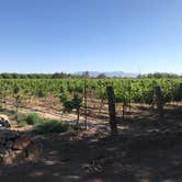 Review photo of Sombra Antigua Winery by Arthur K., May 25, 2024