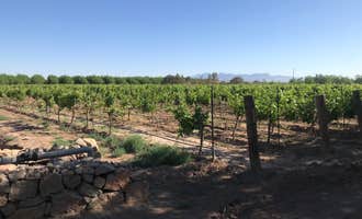 Camping near El Paso West RV Park: Sombra Antigua Winery, Chamberino, New Mexico
