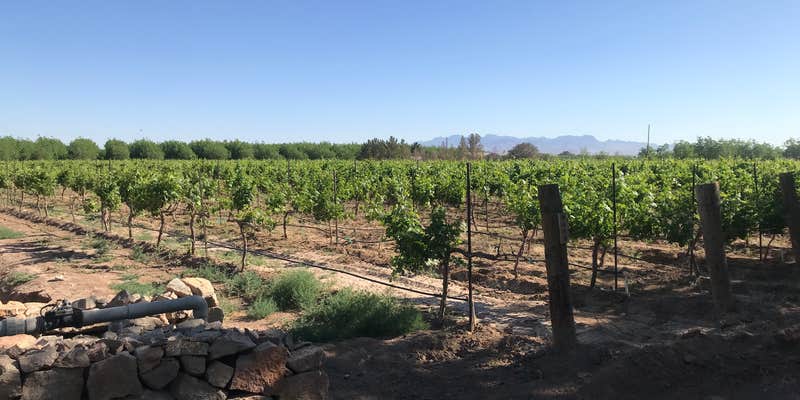 Camper submitted image from Sombra Antigua Winery