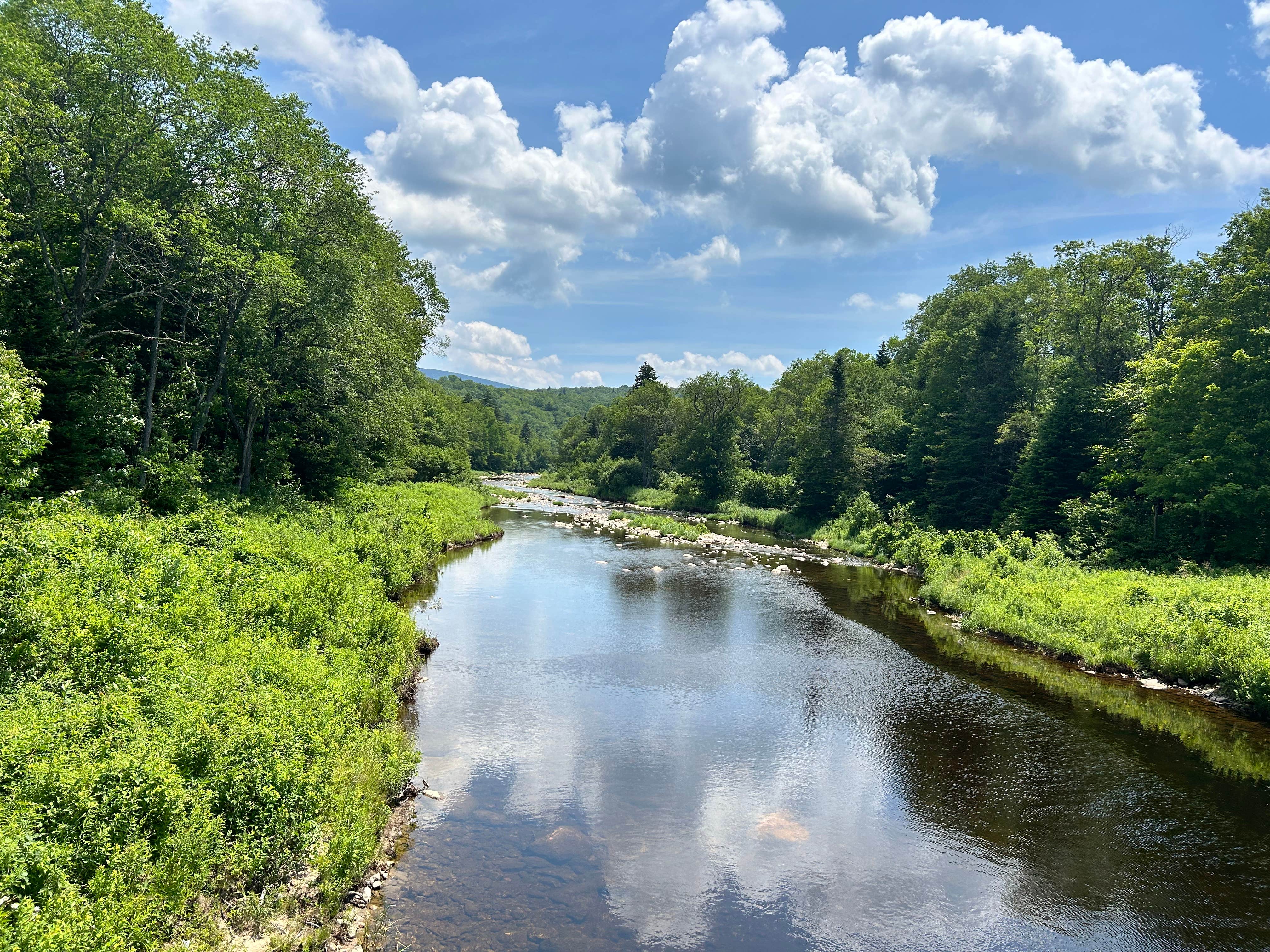 licia S.'s photo of a dispersed camping area at Somerset Airfield near Greenfield, MA