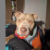 Review photo of Sonoma County Fairgrounds RV Park by Venna D., October 26, 2025