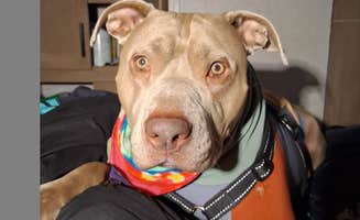 Venna D.'s photo of camping with pets at Sonoma County Fairgrounds RV Park near Bodega Bay, CA