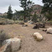 Review photo of Sonora Bridge — Humboldt Toiyabe National Forest Headquarters by Ruby M., August 28, 2026