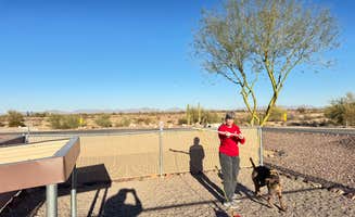 Robert & Diane M.'s photo of camping with pets at Sonoran Desert RV Park near Ajo, AZ
