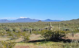 mike J.'s photo of a dispersed camping area at Sonoran Monument Dispersed Camping near Goodyear, AZ