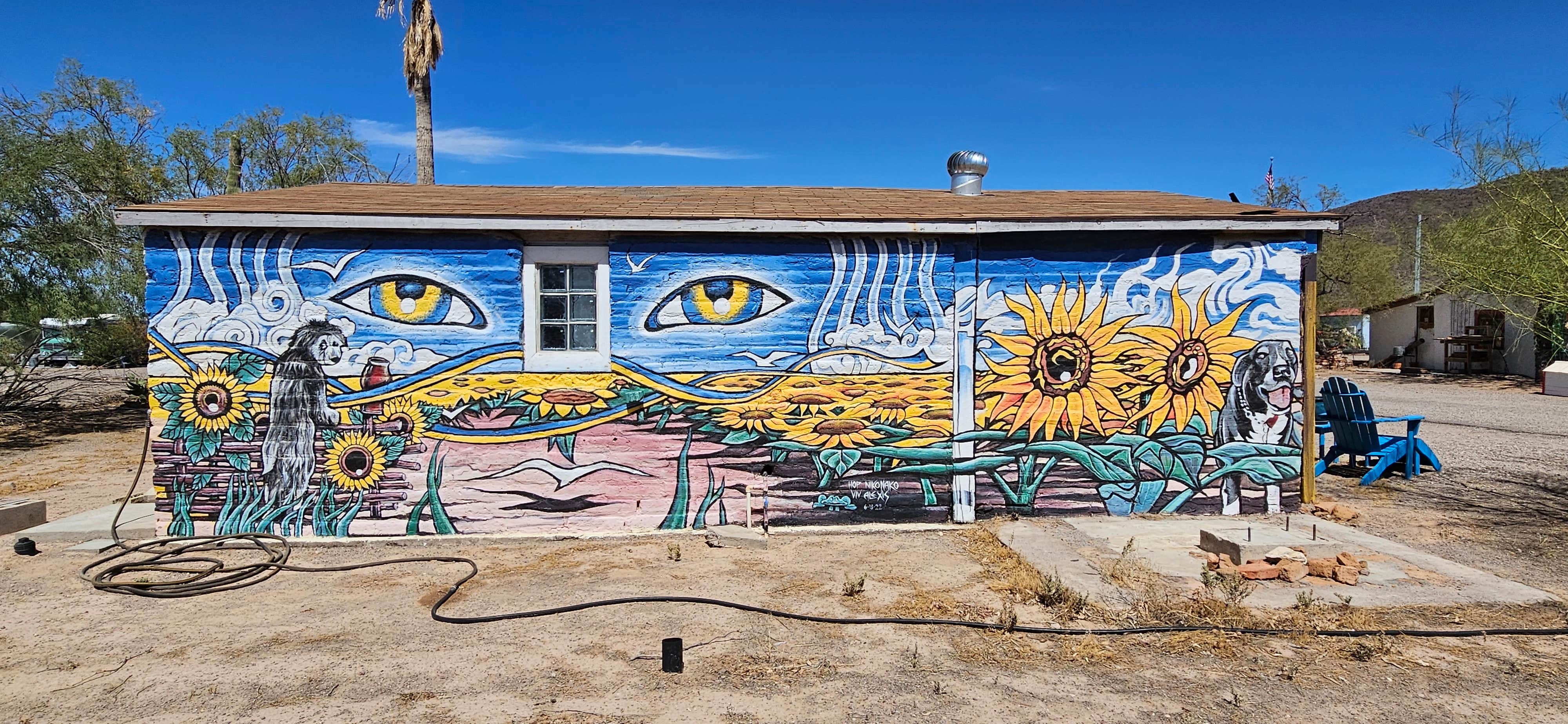 Camper-submitted photo at Sonoran Skies Campground near Organ Pipe Cactus National Monument