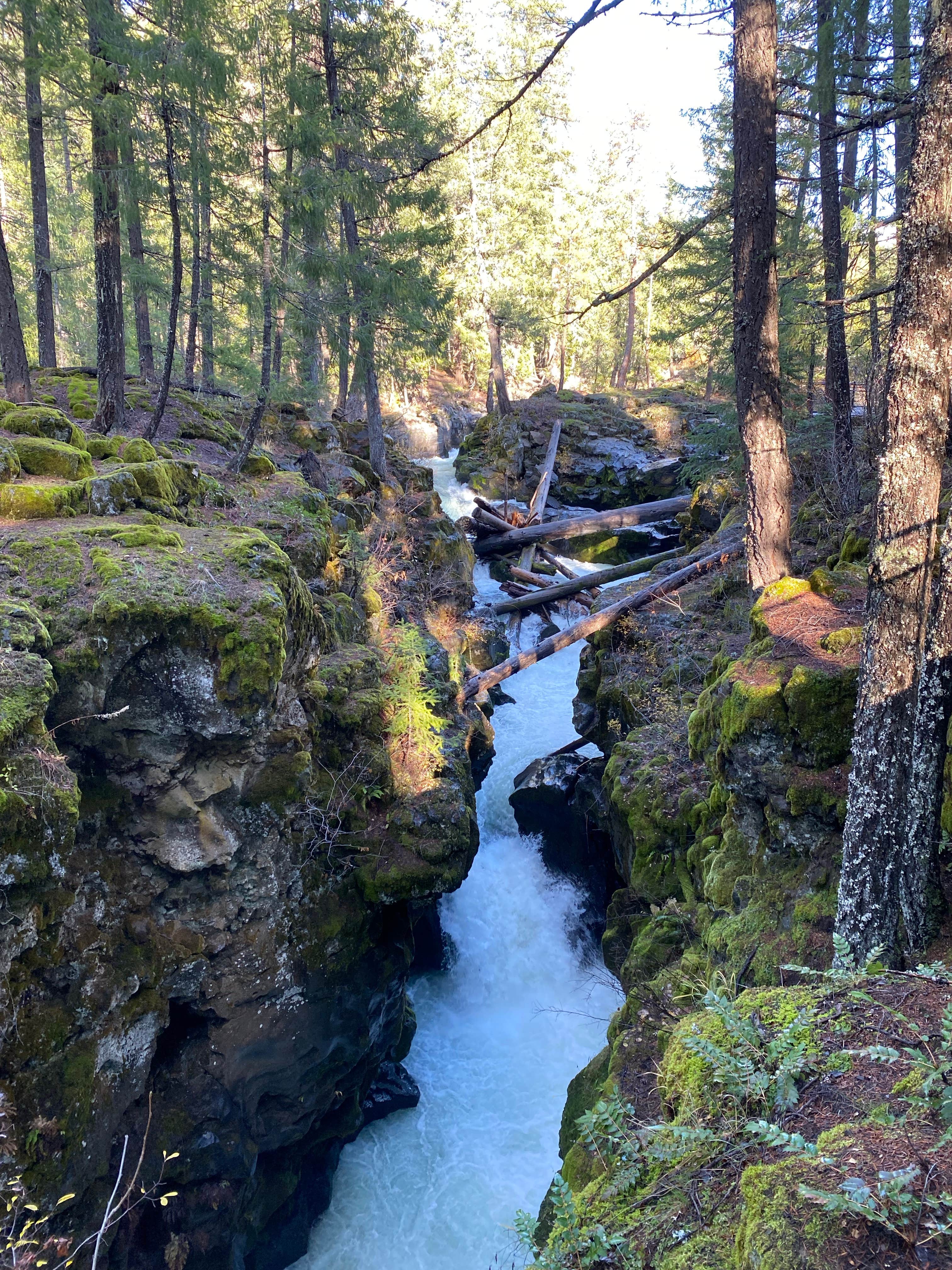 Camper-submitted photo at Southern Oregon RV Park near Trail, OR