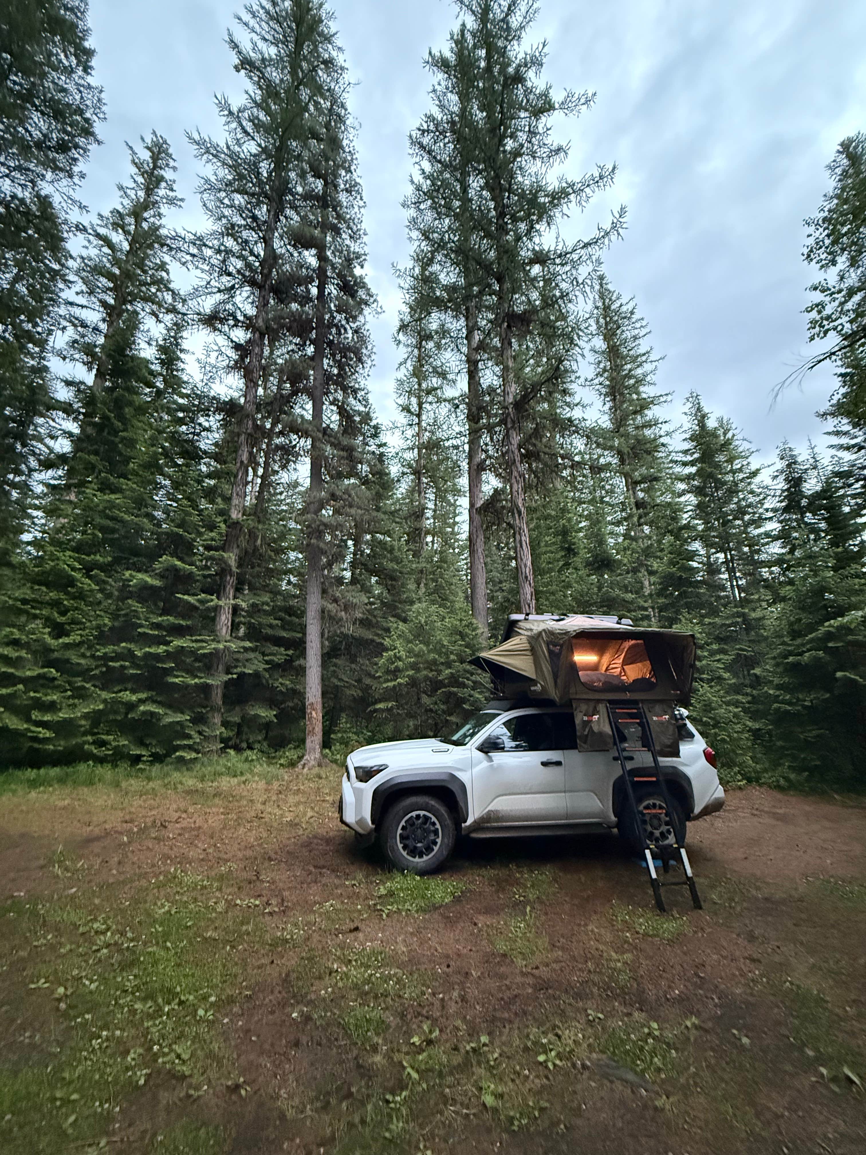 Camper-submitted photo at Soup Creek near Condon, MT
