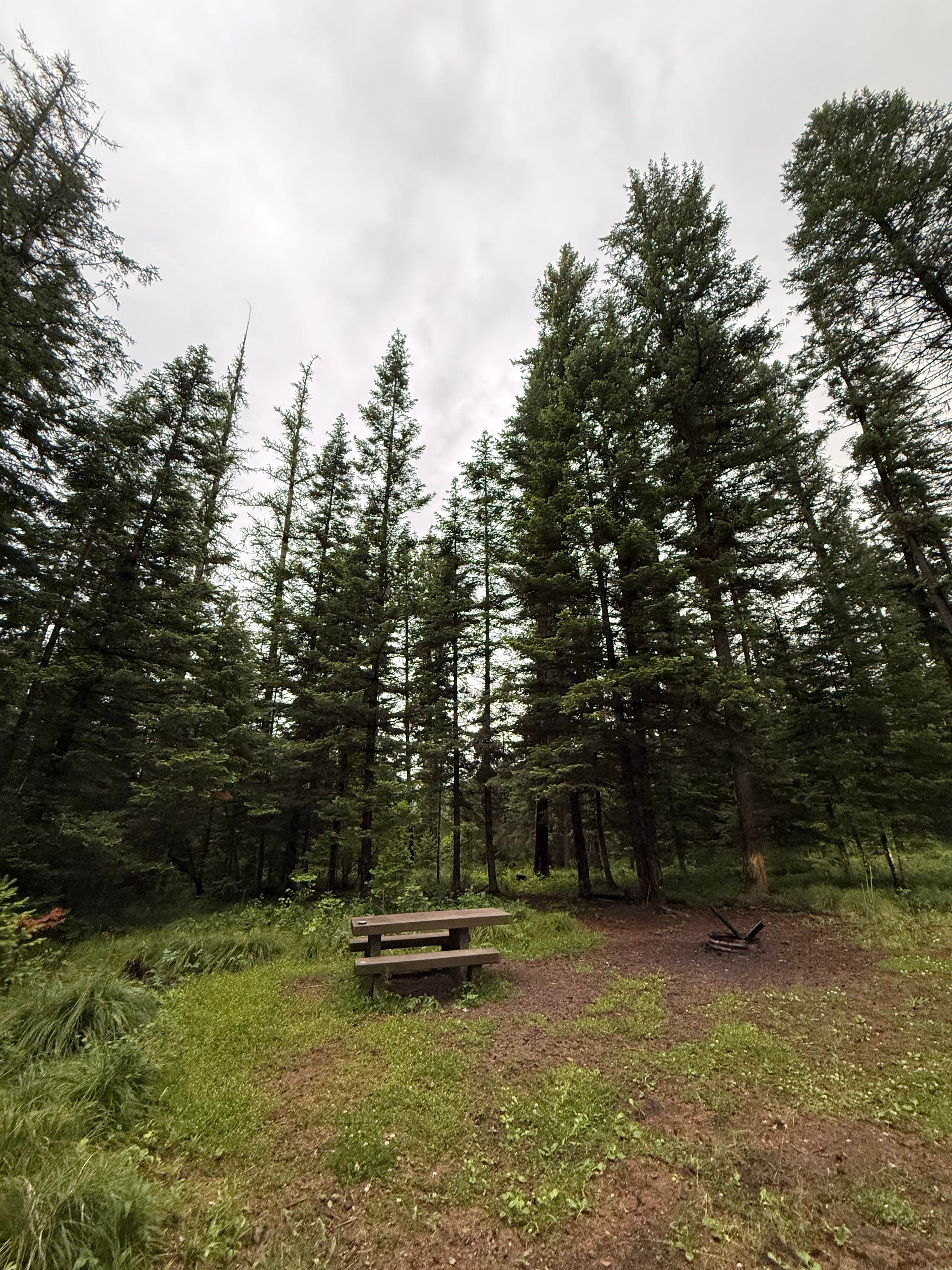 Camping near Silvertip Cabin: Soup Creek, Polson, Montana