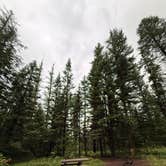 Review photo of Soup Creek by Liv H., June 30, 2026