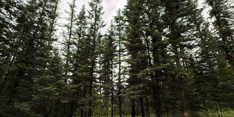 Camper submitted image from Soup Creek