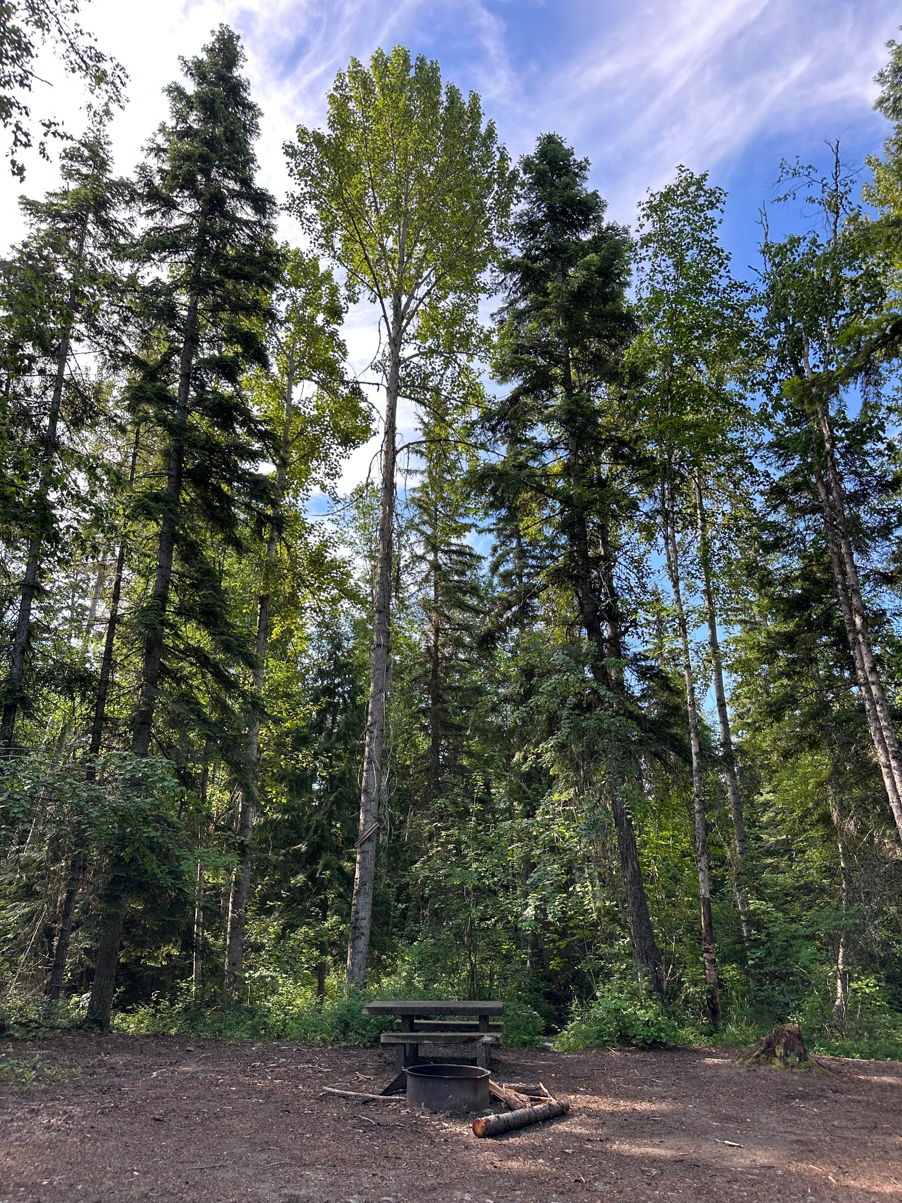 Camper-submitted photo at Soup Creek near Flathead National Forest