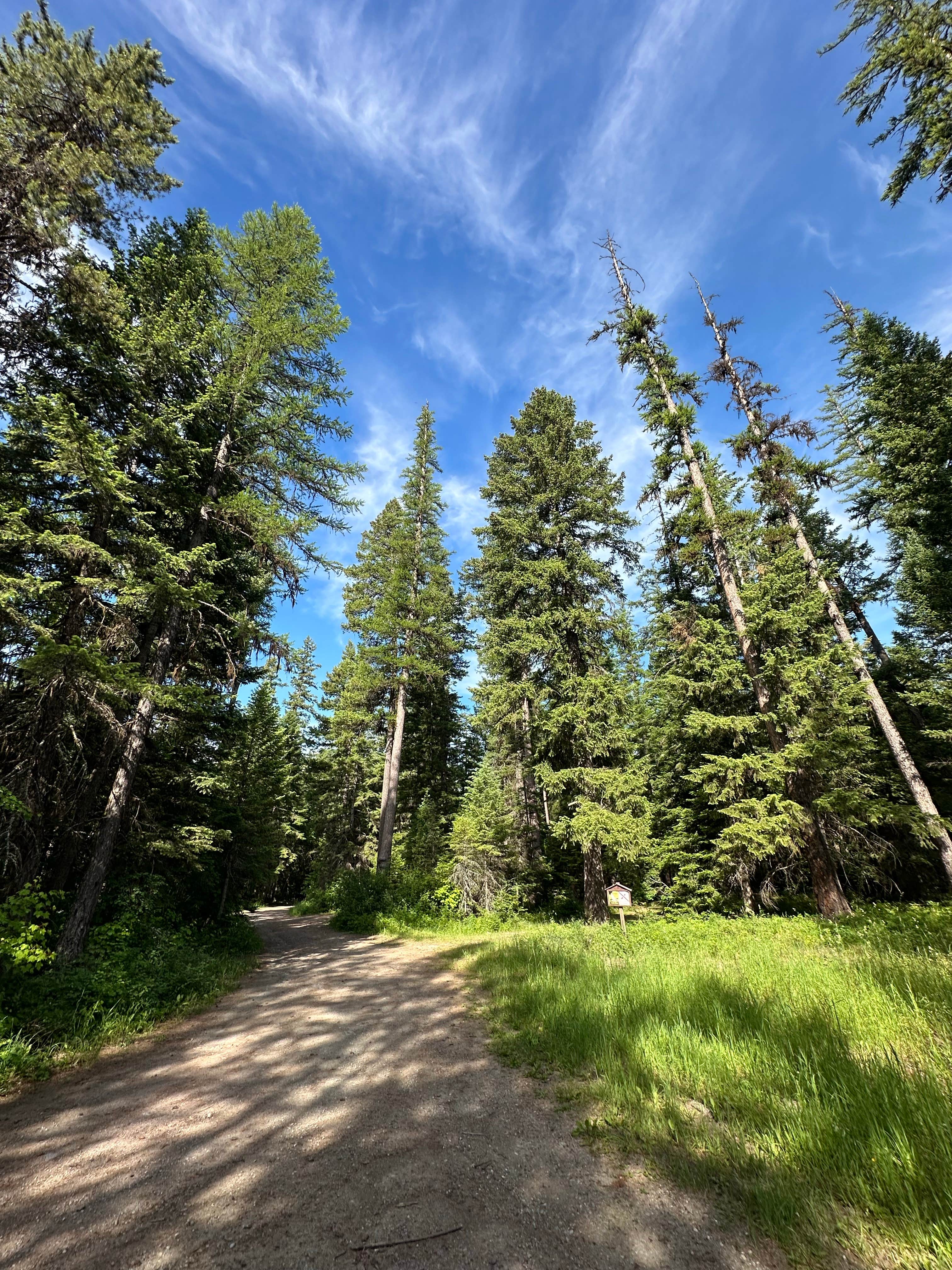 Camper-submitted photo at Soup Creek near Flathead National Forest