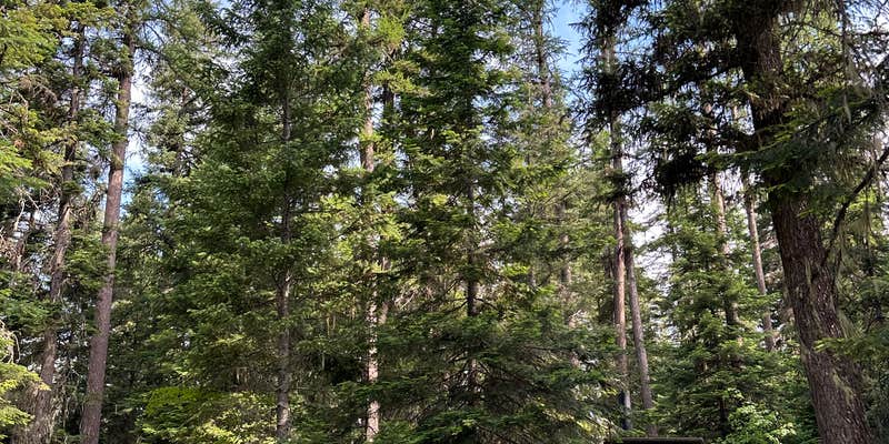 Camper submitted image from Soup Creek