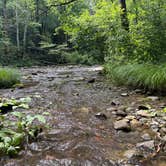 Review photo of Sourwood Campground by Kane G., July 11, 2026