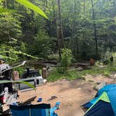 Review photo of Sourwood Campground by Kane G., July 11, 2026