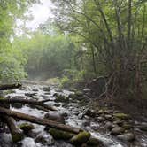 Review photo of Sourwood Campground by Kane G., July 11, 2026