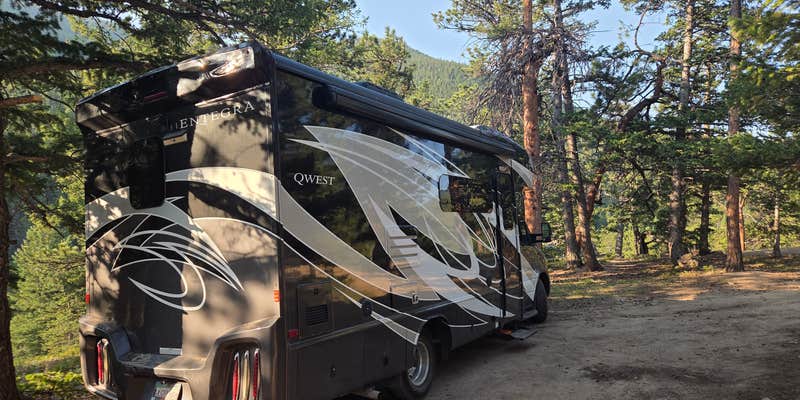 Camper submitted image from South Allenspark Dispersed Camping