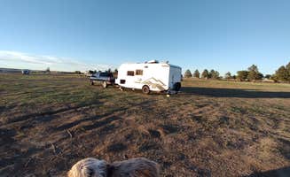 Andy M.'s photo of camping with pets at South Area Campground — Storrie Lake State Park near Pinos Altos, NM