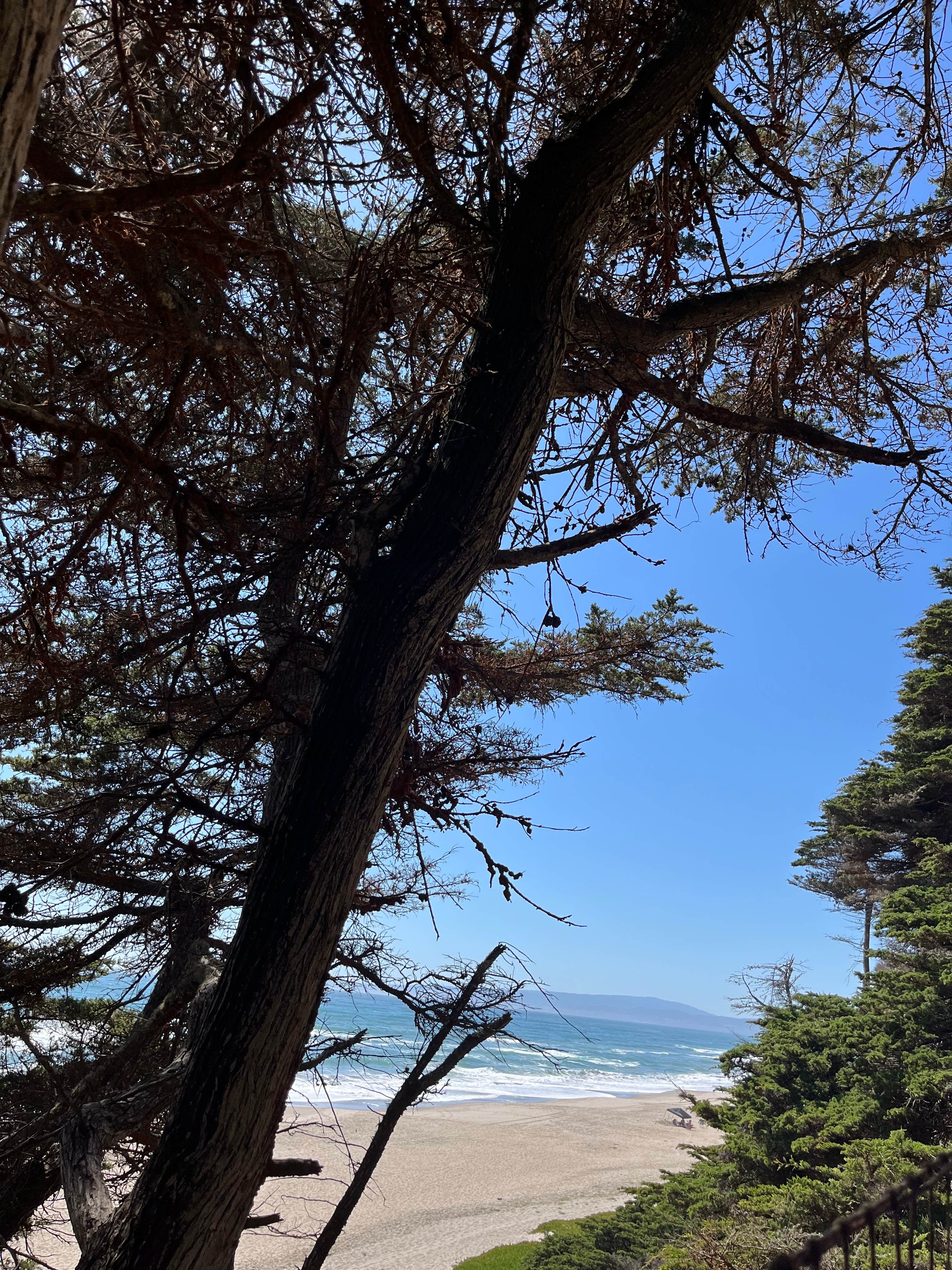Camper-submitted photo at Sunset State Beach Campground near Freedom, CA