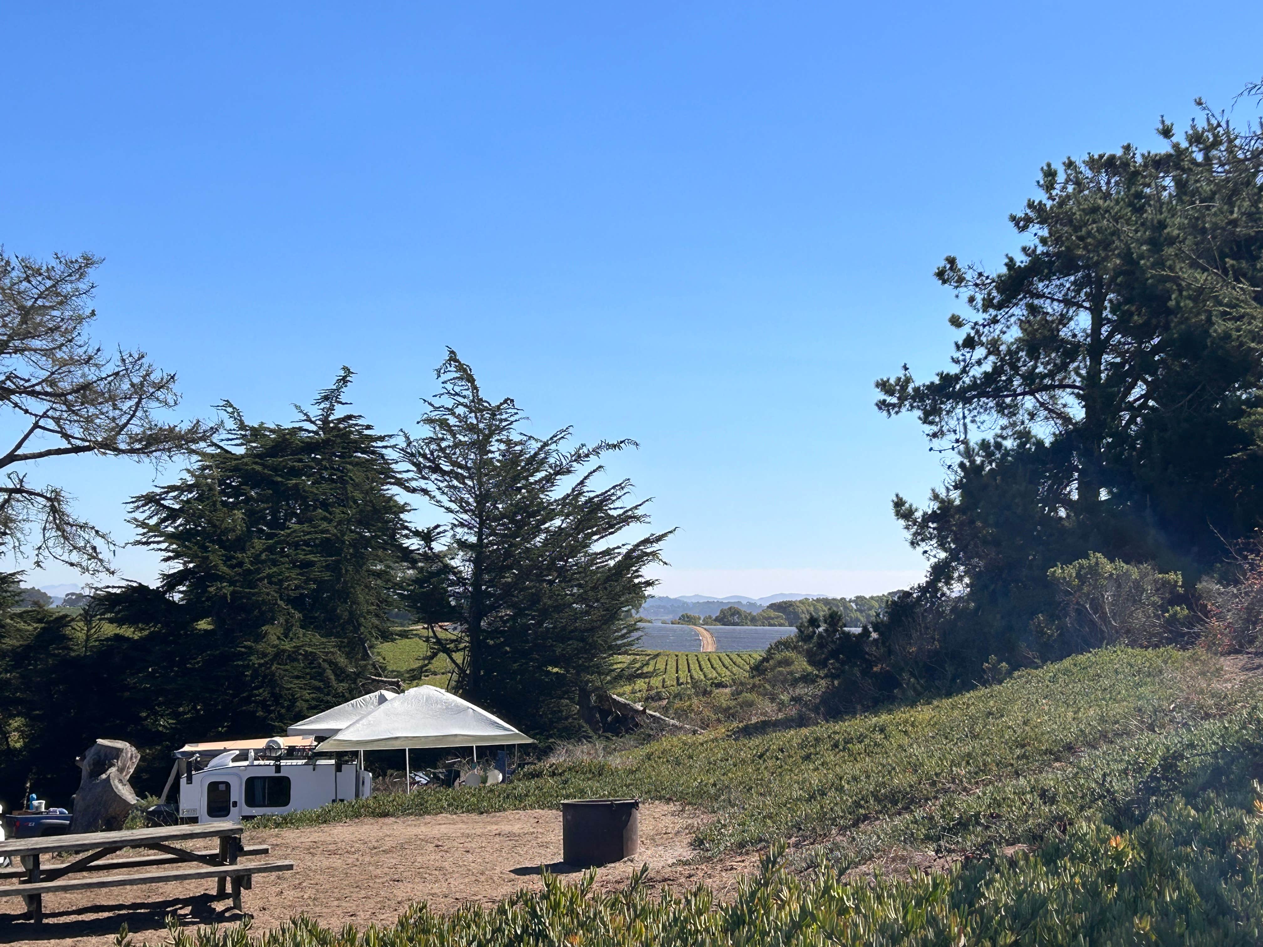 Camper submitted image from Sunset State Beach Campground - 1