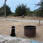 Review photo of Sunset State Beach Campground by Tom H., August 15, 2026
