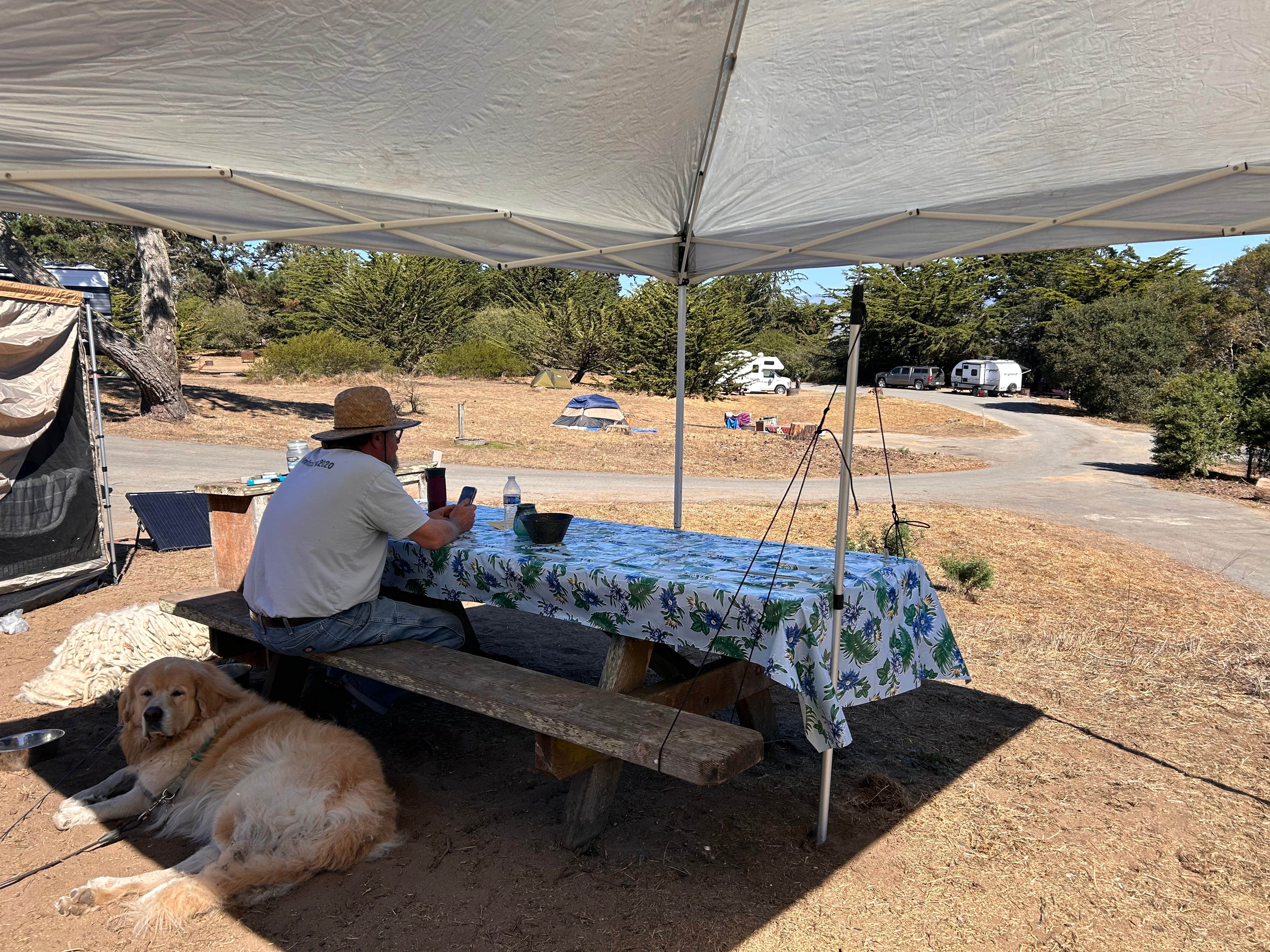 Camper submitted image from Sunset State Beach Campground - 4