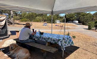 Elizabeth S.'s photo at Sunset State Beach Campground near San Juan Bautista, CA