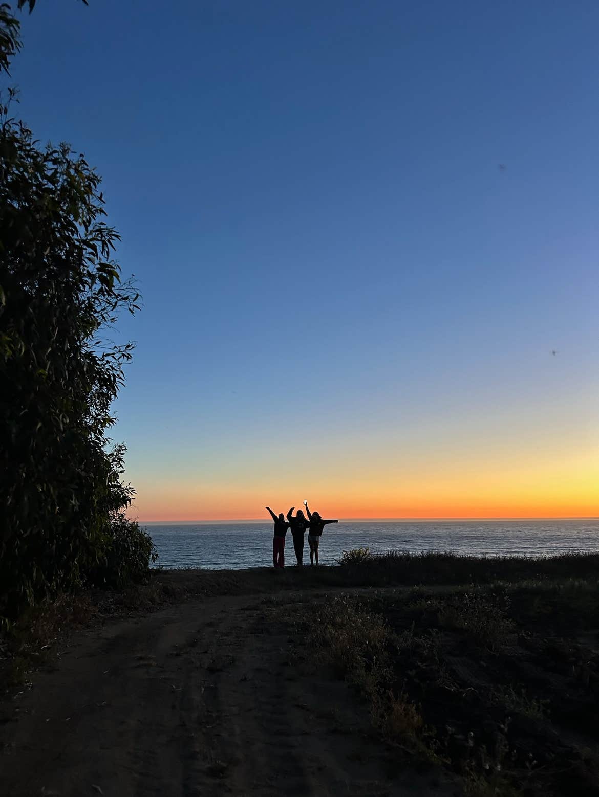 Camper submitted image from Sunset State Beach Campground - 4