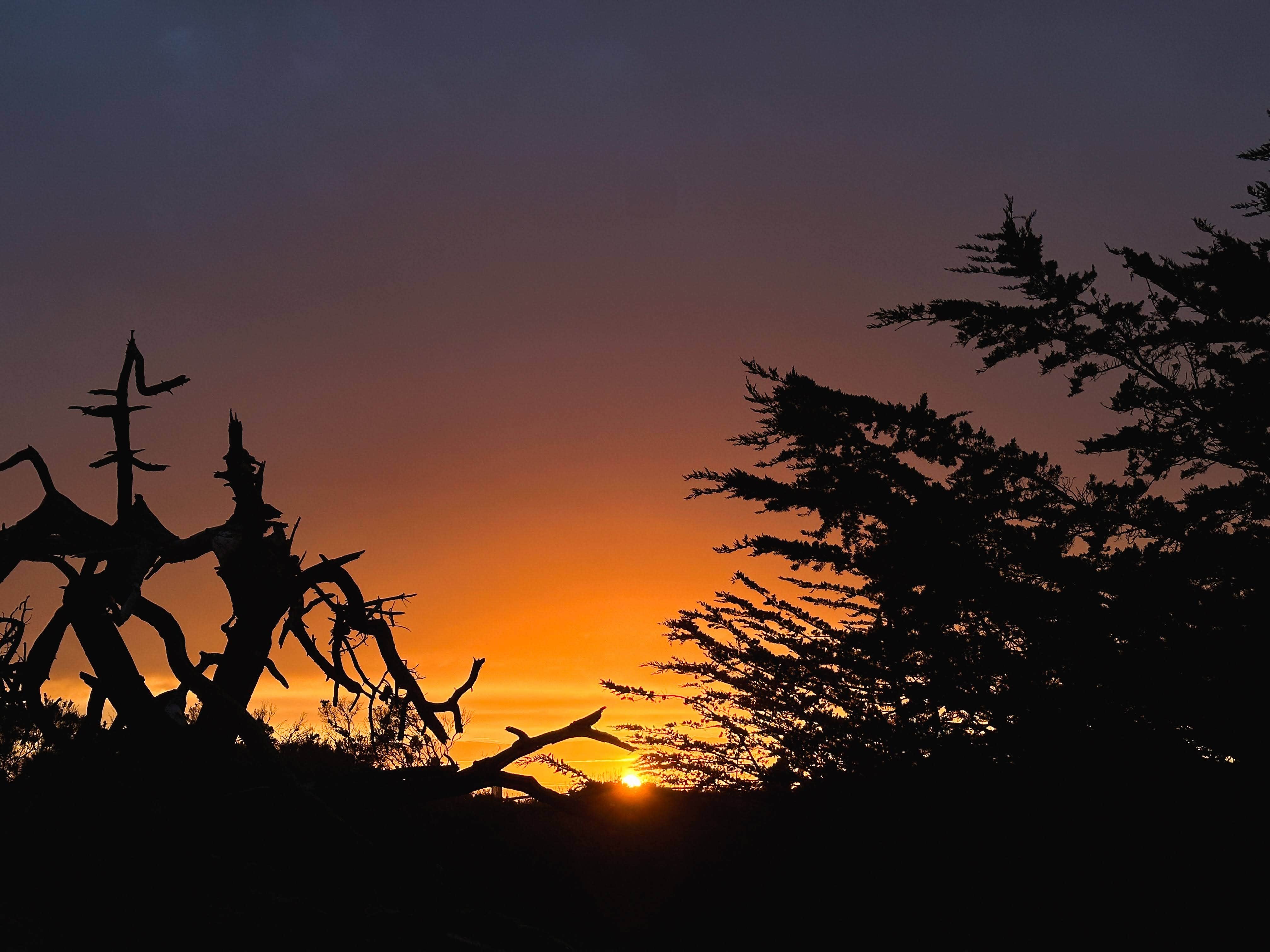 Camper submitted image from Sunset State Beach Campground - 4