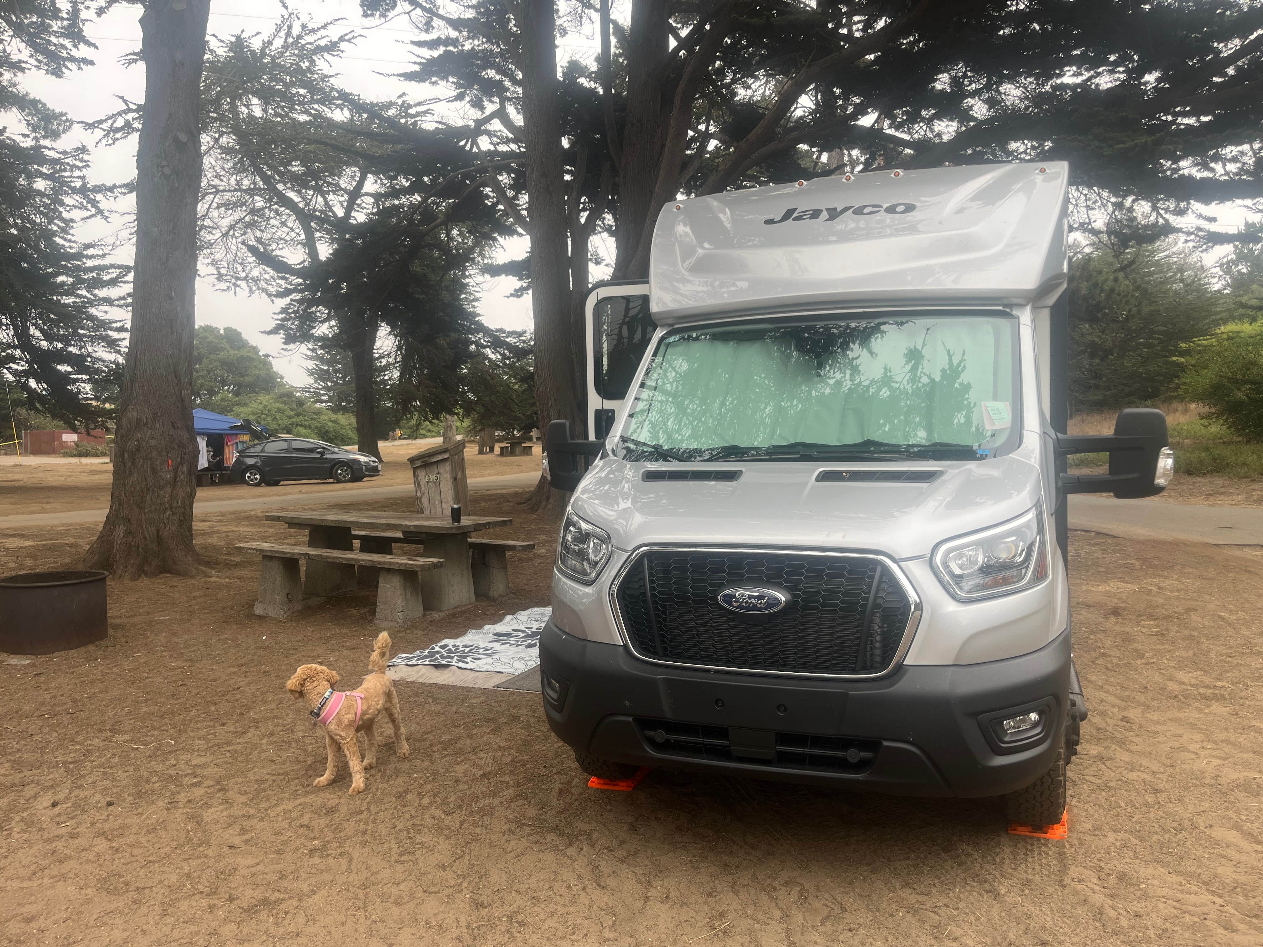 jay B.'s photo of camping with pets at Sunset State Beach Campground near Santa Cruz, CA