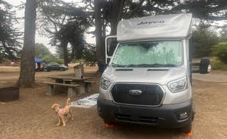 jay B.'s photo of camping with pets at Sunset State Beach Campground near Hollister, CA