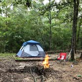 Review photo of South Campground — Chicot State Park by TIMOTHY O., October 4, 2024